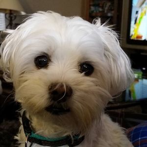 Meet your Posher, Jack